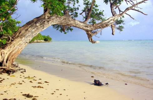 akce letenky Guadeloupe - Karibik z Prahy 13.290,- kč