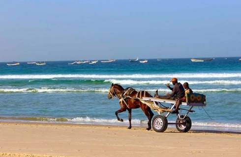 TIP! TAP Air Portugal - Afrika - Senegal - levné letenky Dakar 6.990,- kč