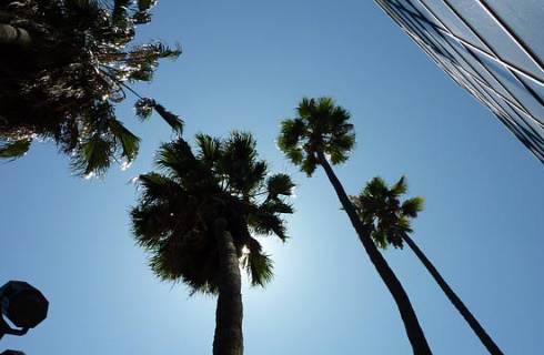 TIP! KLM - USA - Kalifornie - levné letenky Los Angeles z Vídně 7.790,- kč