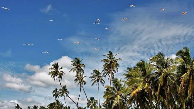 TIP! Lufthansa / Oman Air - Srí Lanka - levné letenky Colombo z Prahy zpět Vídeň 11.290,- kč