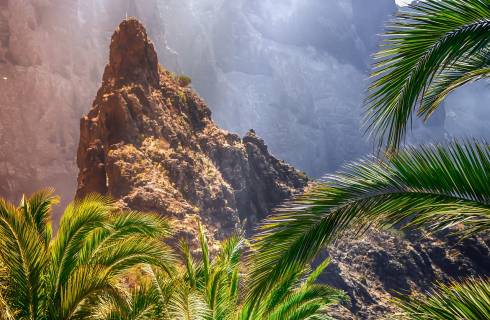 TIP! Kanárské ostrovy - několik verzí levné letenky na Tenerife (zpáteční) odlety také z Česka od 1.894,- kč