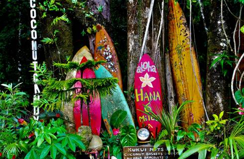 HIT! Havajské ostrovy - levné letenky Lihue, Kona a Maui z Vídně (a zpět) 9.790,- kč