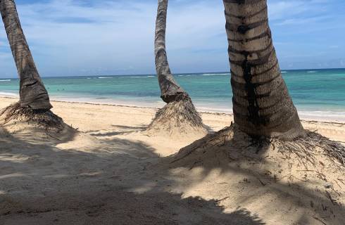 Doporučujeme! Air Europa - Karibik - Dominikánská republika - levné letenky Punta Cana z Mnichova (tam a zpět) 11.690,- kč