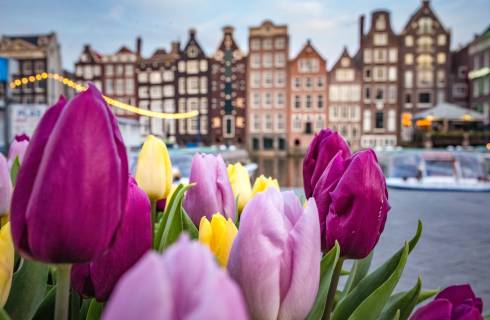 TIP! Easyjet - Nizozemsko z Česka za cca tisícovku - levné letenky Amsterdam z Prahy (a zpět) od 1.175,- Kč