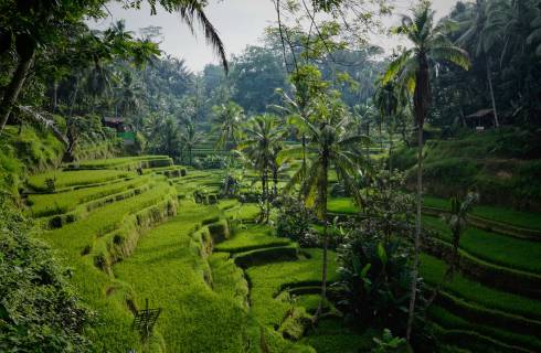 TIP! Singapore Airlines - Indonésie - Bali - levné letenky Denpasar Bali z Prahy (zpáteční) 13.990,- Kč