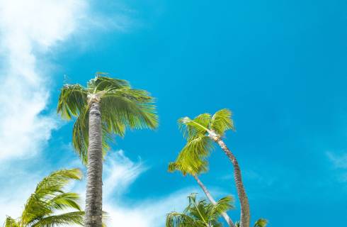 TIP! ✈ TAP Portugal - Dominikána - akční letenky do Punta Cana z Mnichova 9.990 Kč