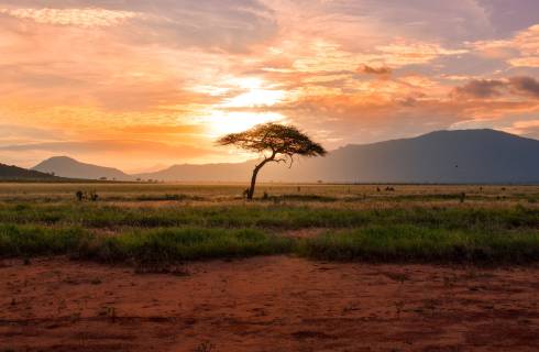 TIP! Turkish Airlines ✈ Afrika - Keňa - levné letenky Nairobi z Budapešti s 4* aerolinkou ↔ 9.890 Kč