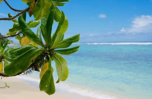 TIP! Turkish Airlines ✈ Seychely - letenky Mahe Island z Prahy s 4* aerolinkou ↔ 14.990 Kč