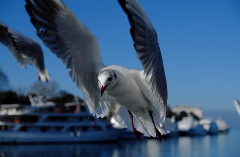 TIP! Chorvatsko ✈ Dalmácie - posezónní levné letenky do Zadaru z Prahy ↔ od 8799 Kč
