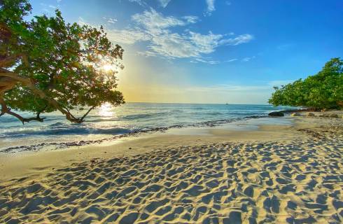 TIP! KLM ✈ Jižní Amerika - Karibik - akční letenky na ostrov Aruba z Prahy ↔ 17.790 Kč
