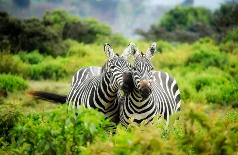 TIP! Air France / Kenya Airways ✈ Keňa - akční letenky Nairobi z Prahy 13.990 Kč