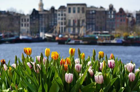 TIP! Easyjet ✈ Nizozemsko za pár stovek - levné letenky do Amsterdamu z Prahy taky o prázdninách ↔ od 1.383 Kč