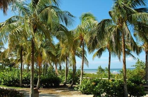 HIT! Spojené státy americké (USA) ✈ Florida - akční letenky Key West z Berlína ↔ 11.990 Kč
