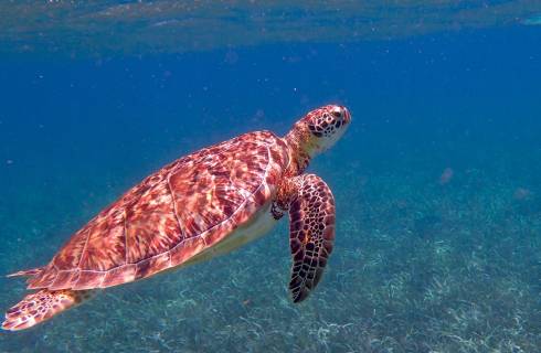TIP! United Airlines / Lufthansa ✈ Belize - akční letenky Belize City z Mnichova ↔ 12.990 Kč