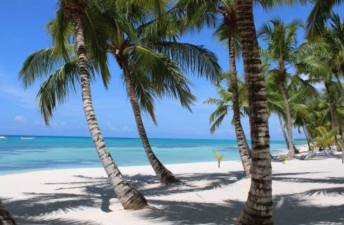 TIP! Air Canada ✈ Dominikánská republika - akční letenky Punta Cana z Vídně ↔ 15.790 Kč