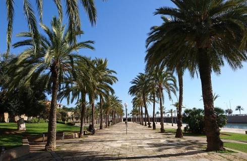 Smartwings ✈ Baleáry - Mallorca - Tip na rezervaci zpáteční akční letenky do Palma de Mallorca z Prahy 2 790 Kč