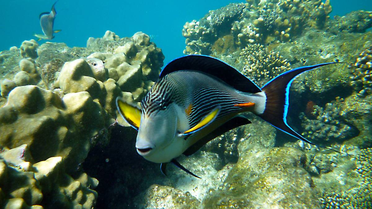 TIP! Easyjet - Egypt - levné letenky Marsa Alam (zpáteční) od 3.090,- kč