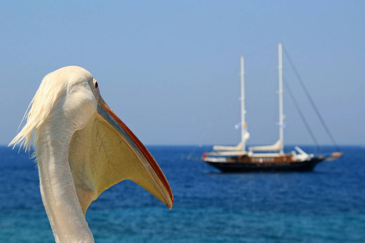 Nový spoj! Austrian Airlines - Řecko - sezónní levné letenky Mykonos z Prahy také na letní prázdniny (zpáteční) 3.990,- Kč