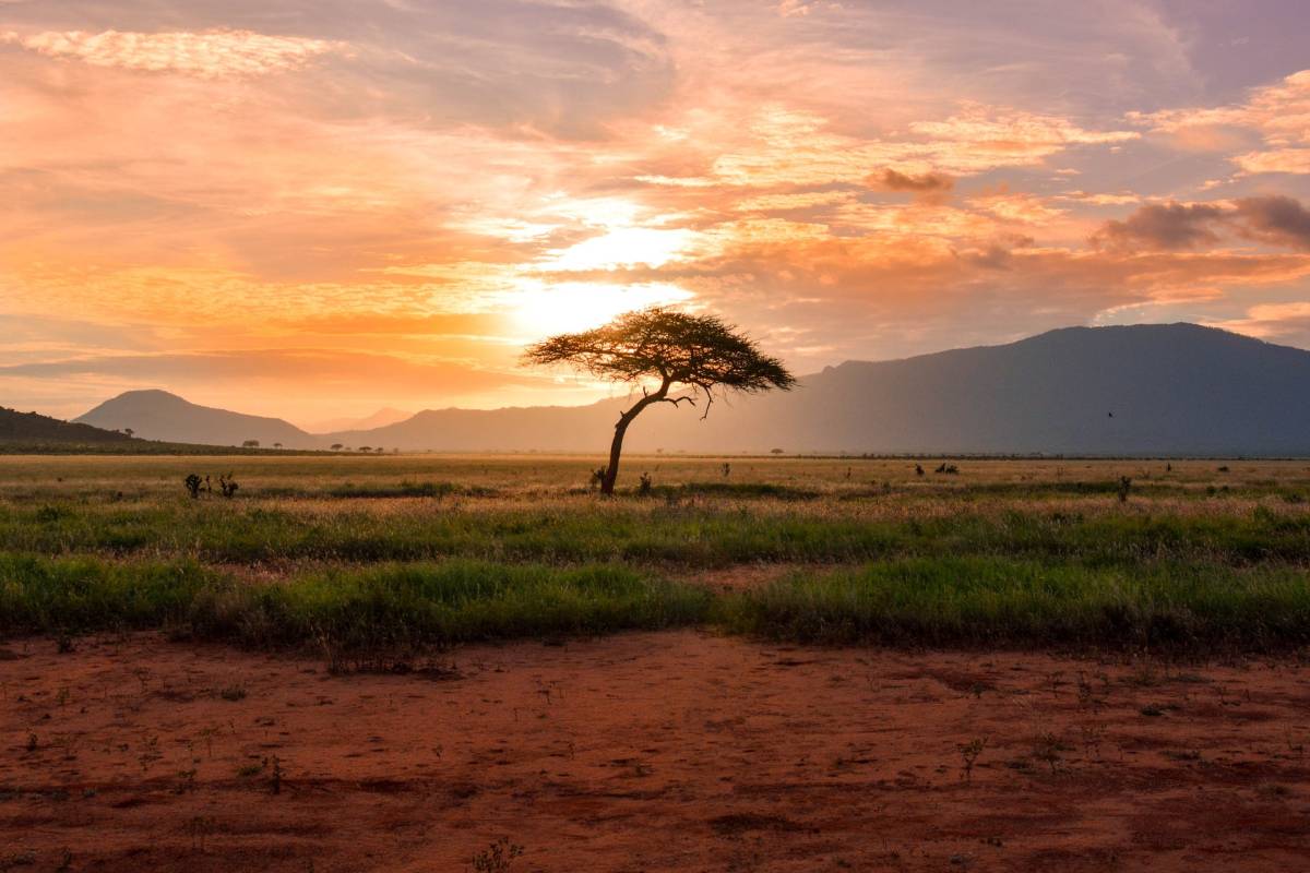 TIP! Turkish Airlines ✈ Afrika - Keňa - levné letenky Nairobi z Budapešti s 4* aerolinkou ↔ 9.890 Kč