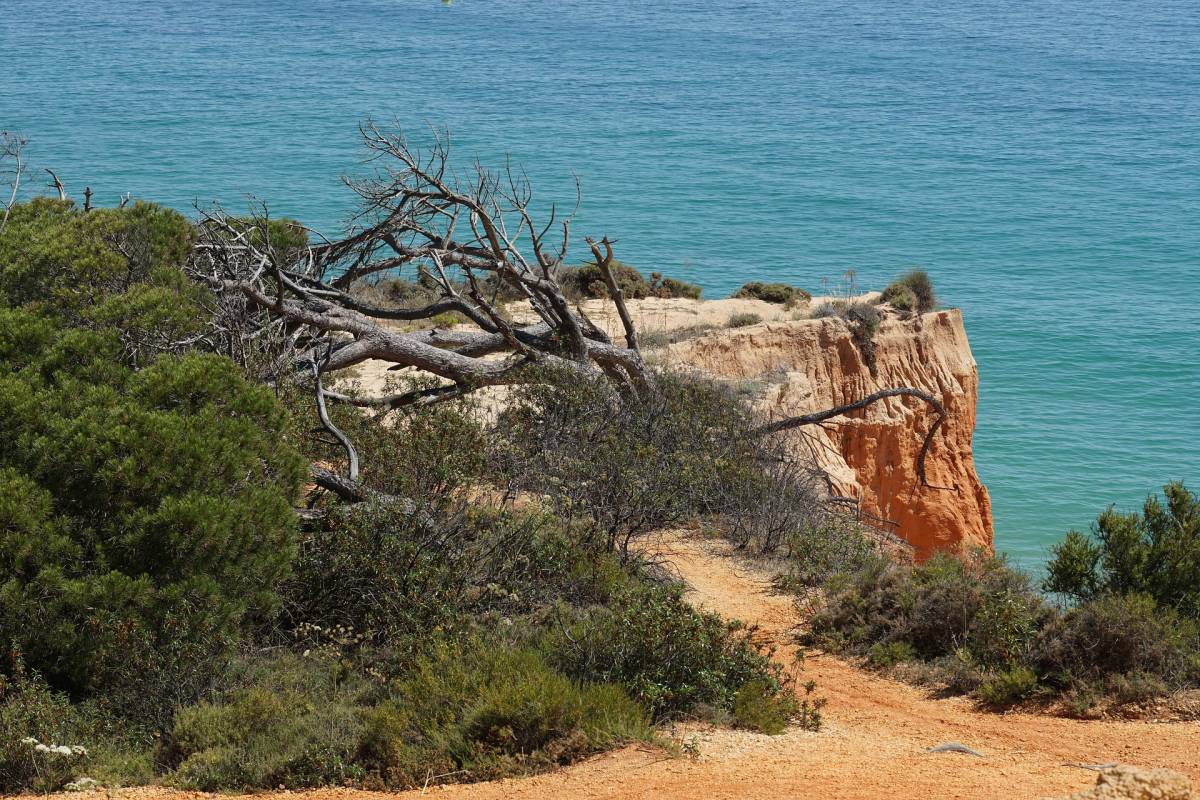 Doporučujeme! TAP ✈ Portugalsko - Algarve - akční letenky Faro z Prahy se stopoverem v Lisabonu také na léto ↔ od 3.790 Kč