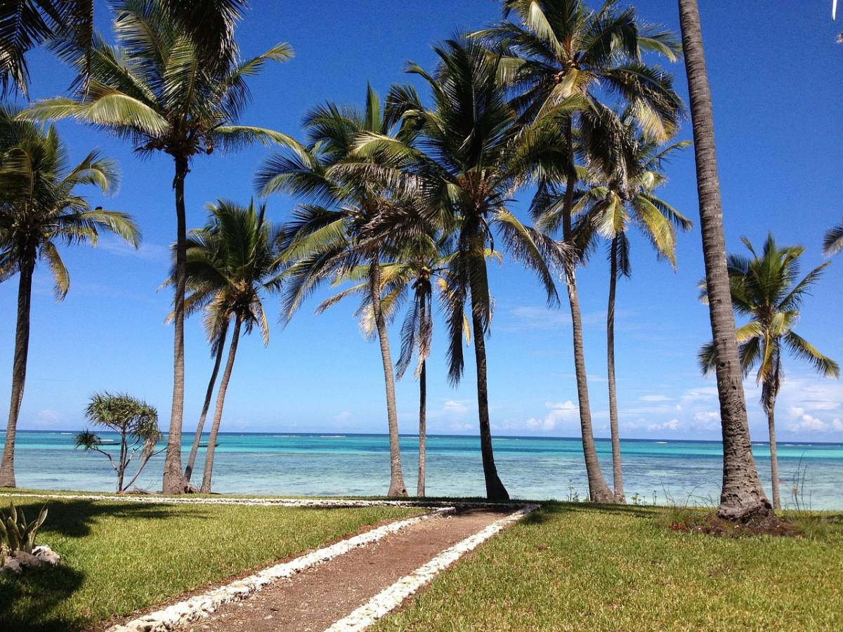 Turkish Airlines ✈ Tanzánie - obousměrné levné letenky na ostrov Zanzibar z 14.990 Kč Vídně 